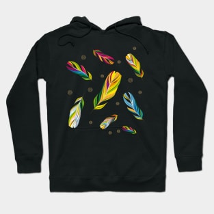 colorful feathers with gold outer lines and patterns Hoodie